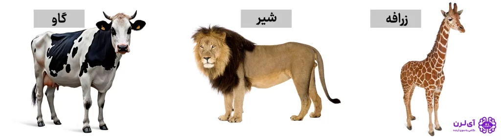 ماشین لرنینگ به زبان ساده