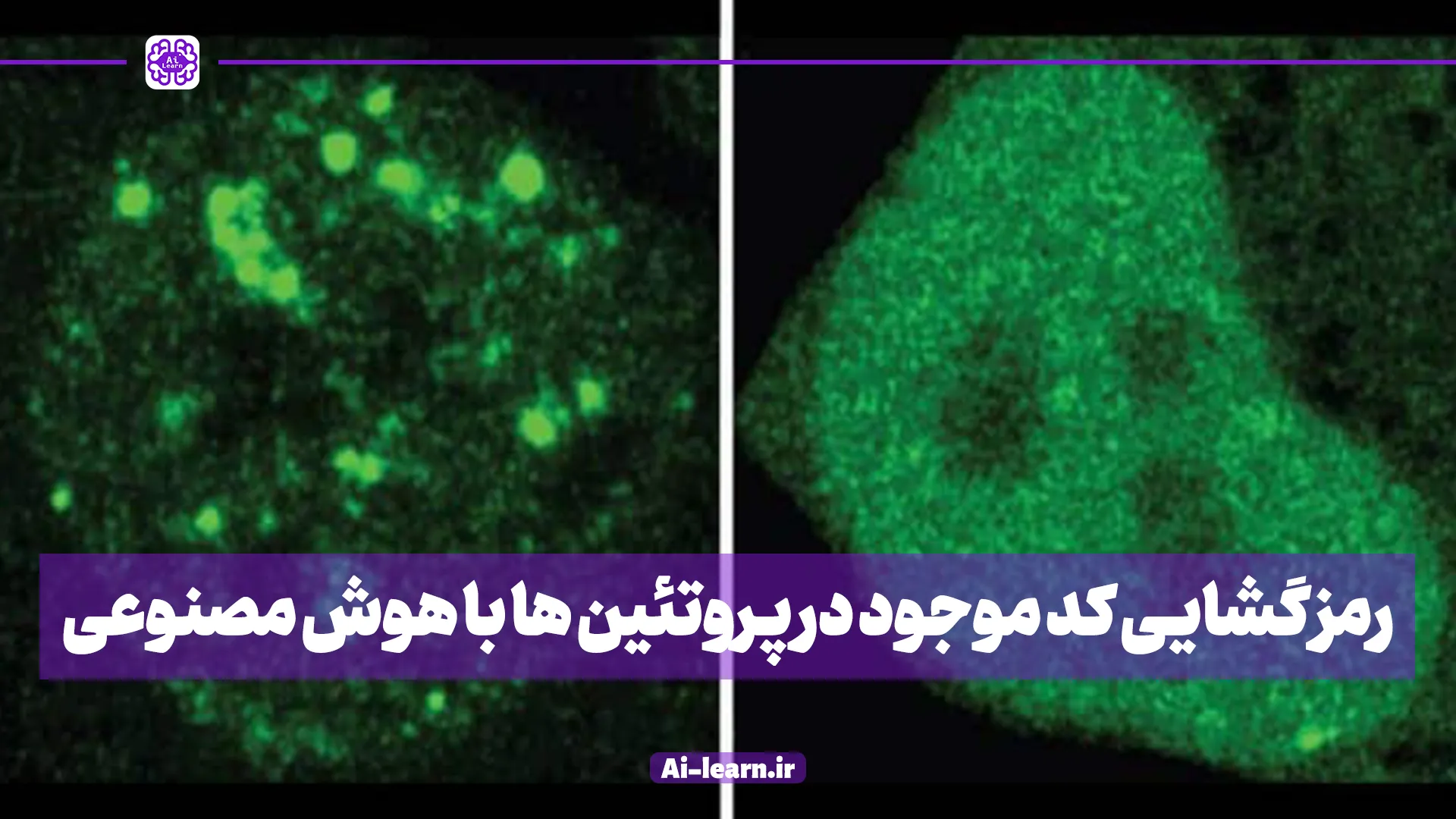 رمزگشایی کد موجود در پروتئین ها با هوش مصنوعی